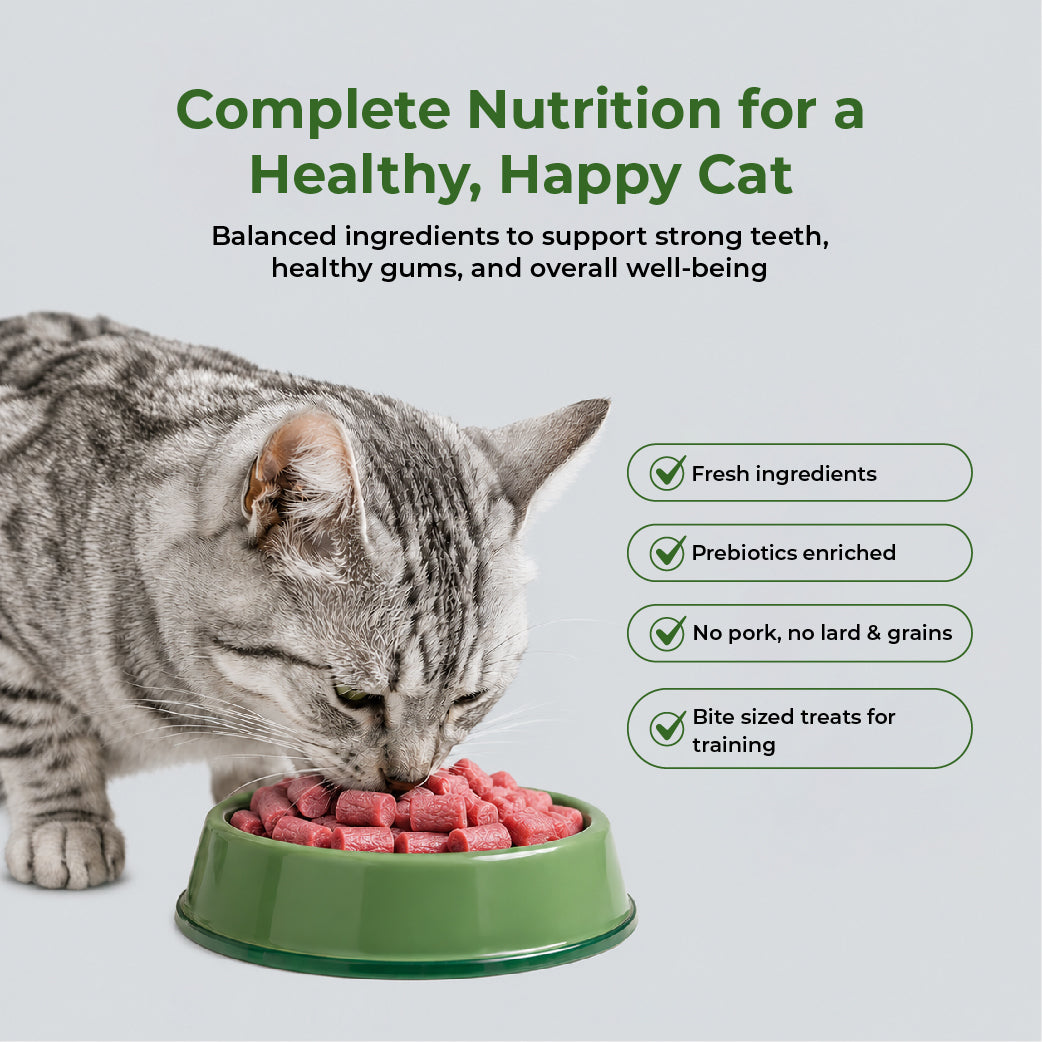 DENTALIGHT Catnip Delicious Shrimp 50g