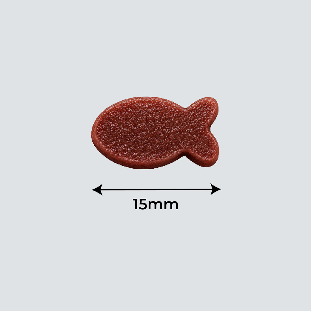 DENTALIGHT Catnip Delicious Ocean Fish 50g
