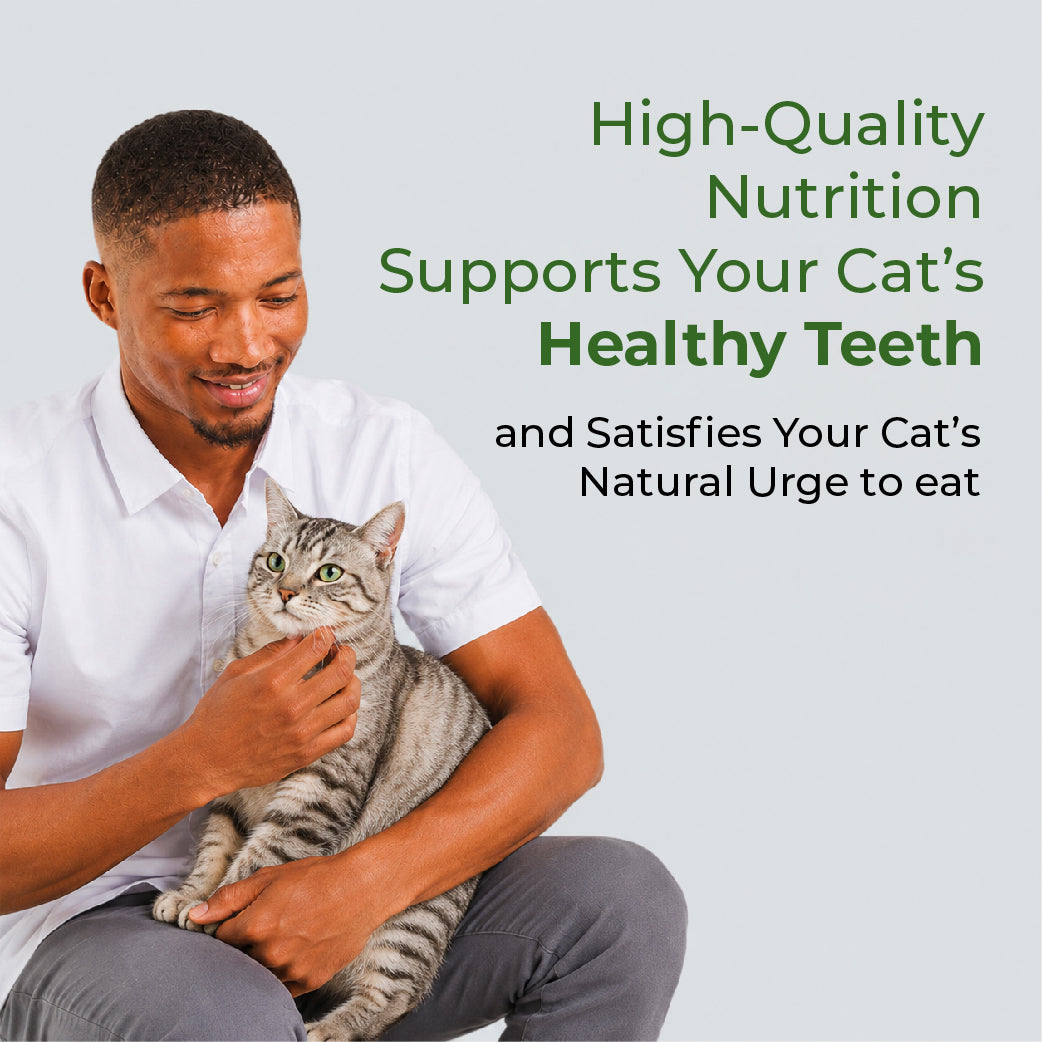 DENTALIGHT Catnip Delicious Crab 50g