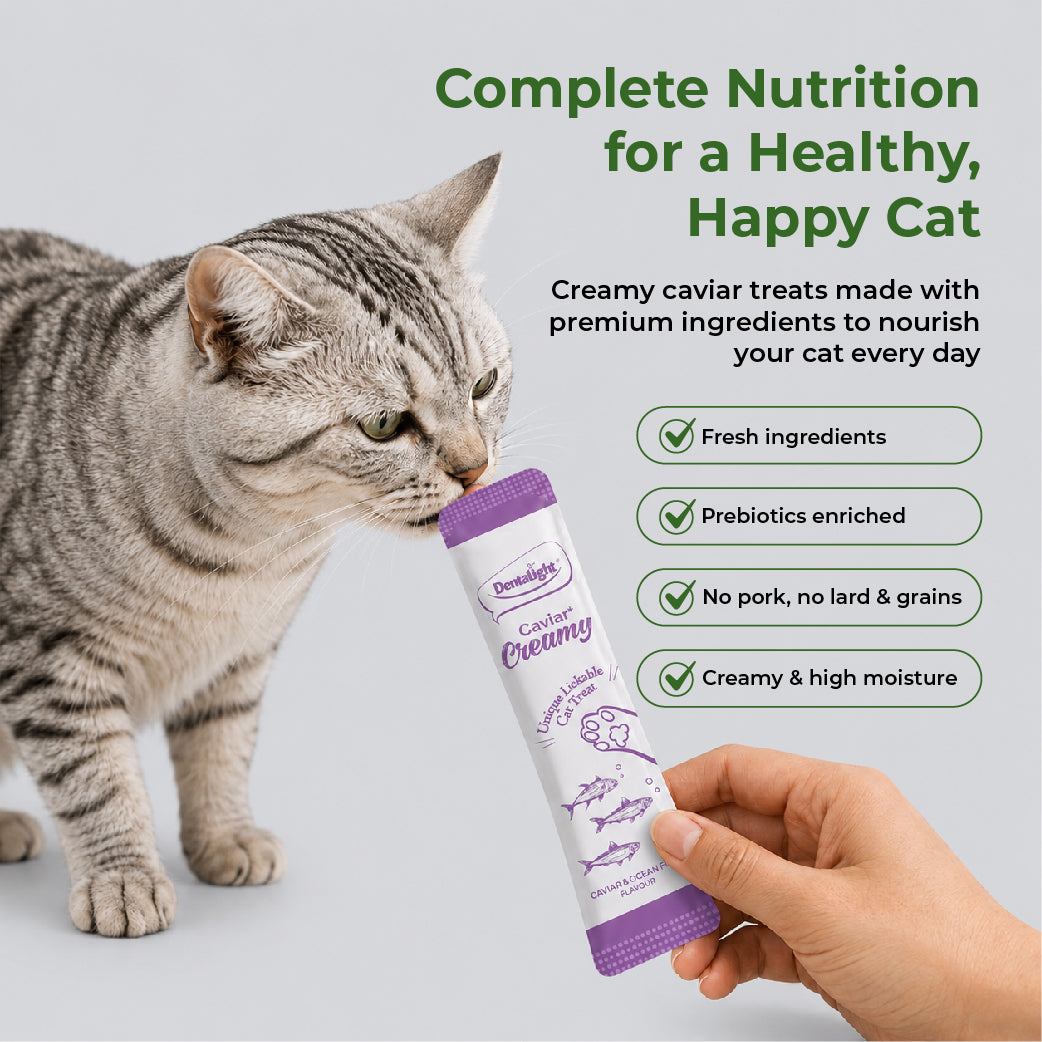 DENTALIGHT Caviar Creamy Ocean Fish 5pcs 50g
