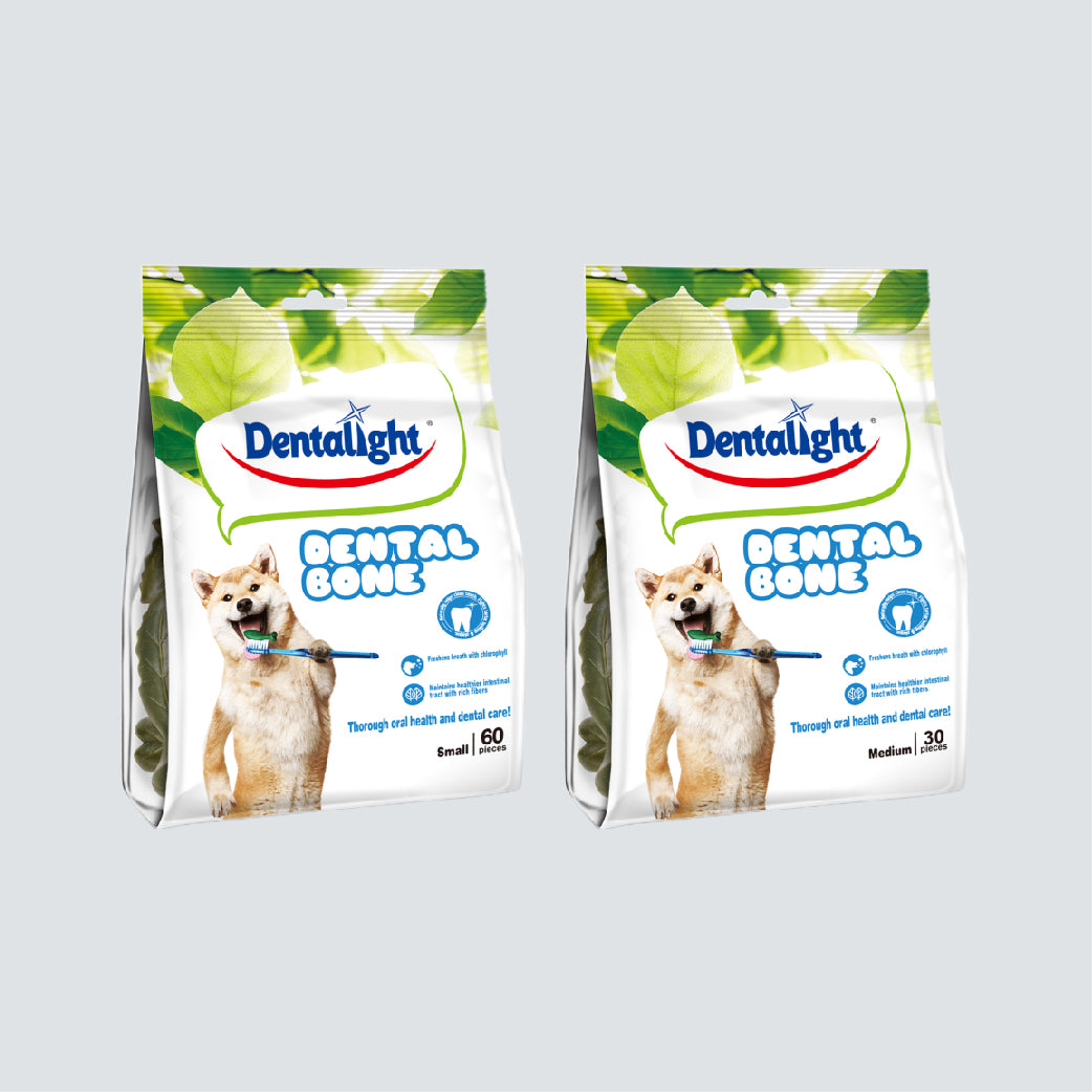 DENTALIGHT Dental Bone Medium 540g