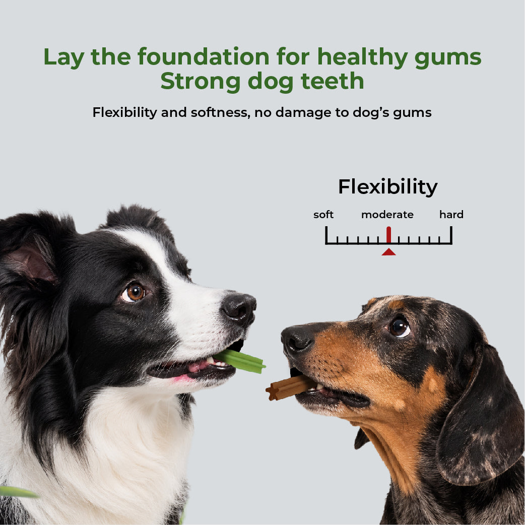 DENTALIGHT Dental Stick Assorted 220g