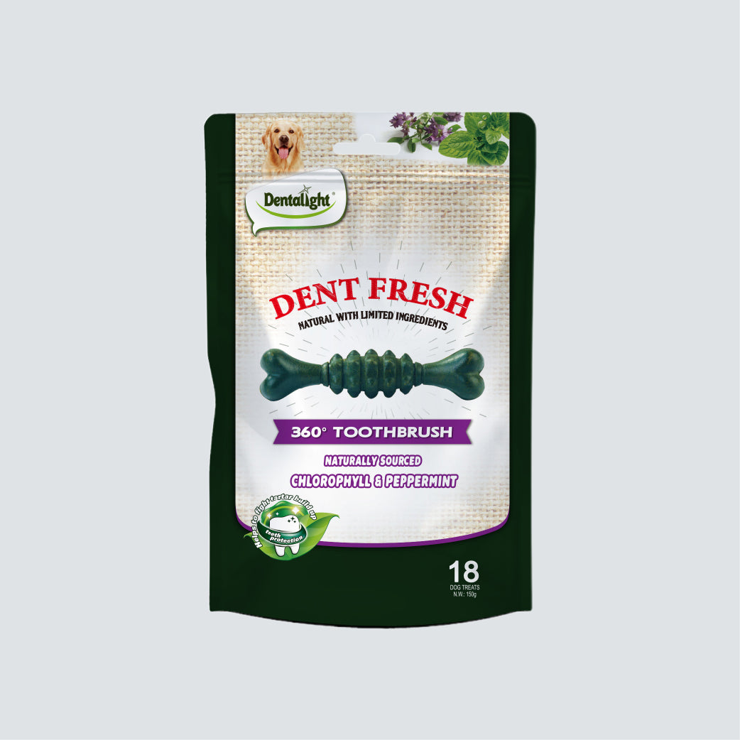 DENTALIGHT Dent Fresh 360° Toothbrush Chlorophyll & Peppermint 150g (Fresh Breath)