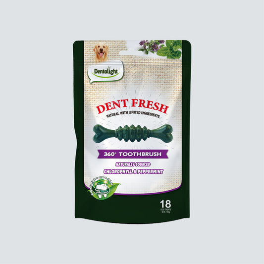 DENTALIGHT Dent Fresh 360° Toothbrush Chlorophyll & Peppermint 150g (Fresh Breath)