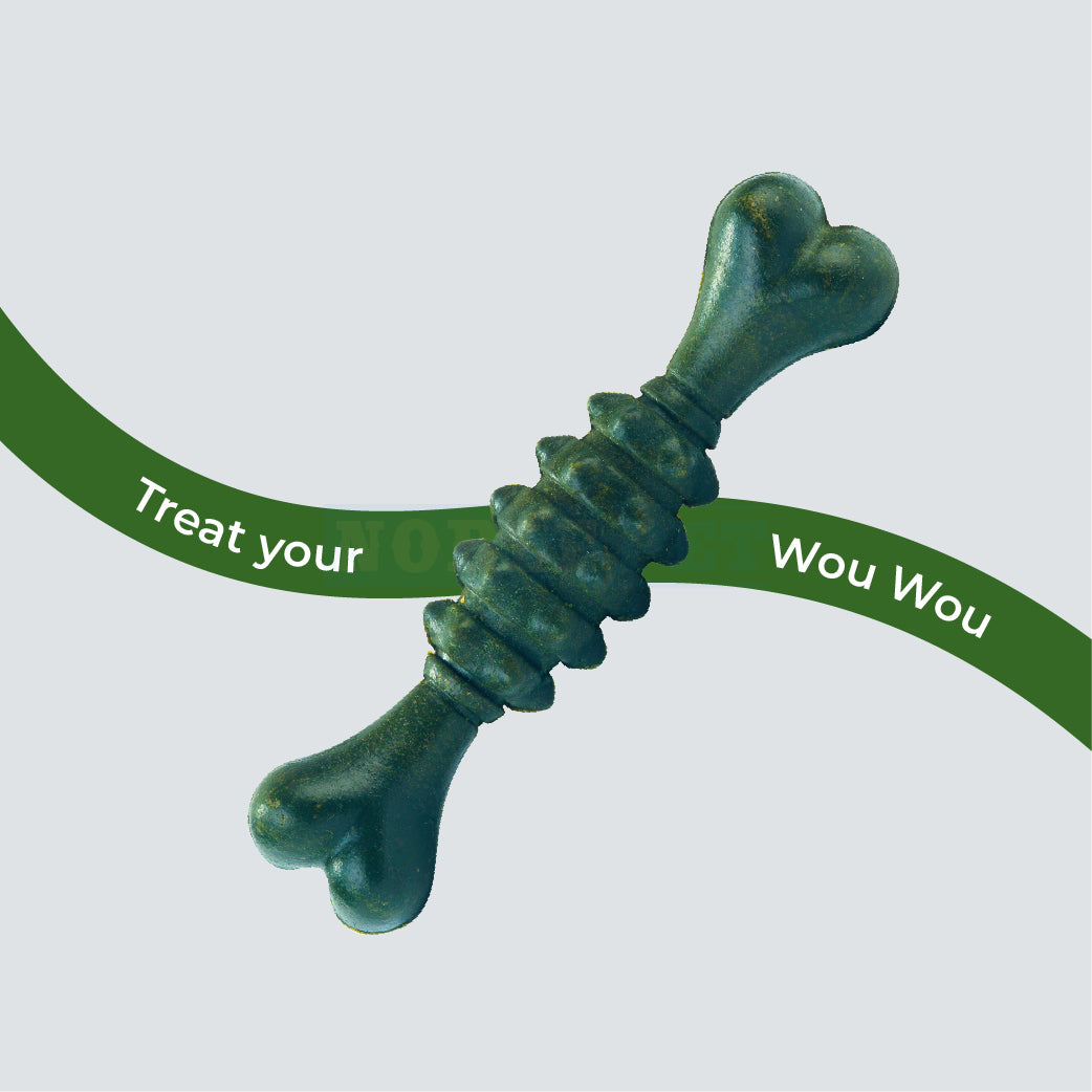 DENTALIGHT Dent Fresh 360° Toothbrush Chlorophyll & Peppermint 150g (Fresh Breath)