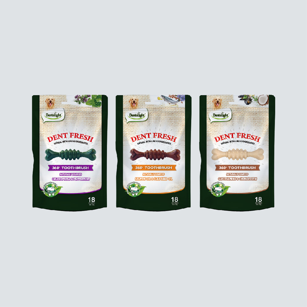 DENTALIGHT Dent Fresh 360° Toothbrush Glucosamine & Chondroitin 150g (Healthy Joint)