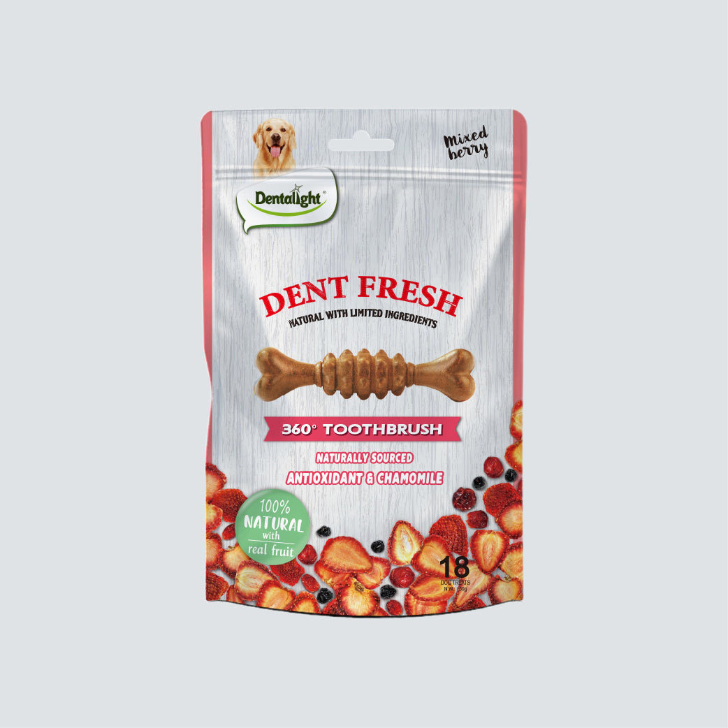 DENTALIGHT Dent Fresh 360° Toothbrush Mixed Berry 150g
