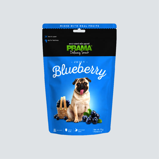 PRAMA DELICACY Fruity Juicy Blueberry 70g
