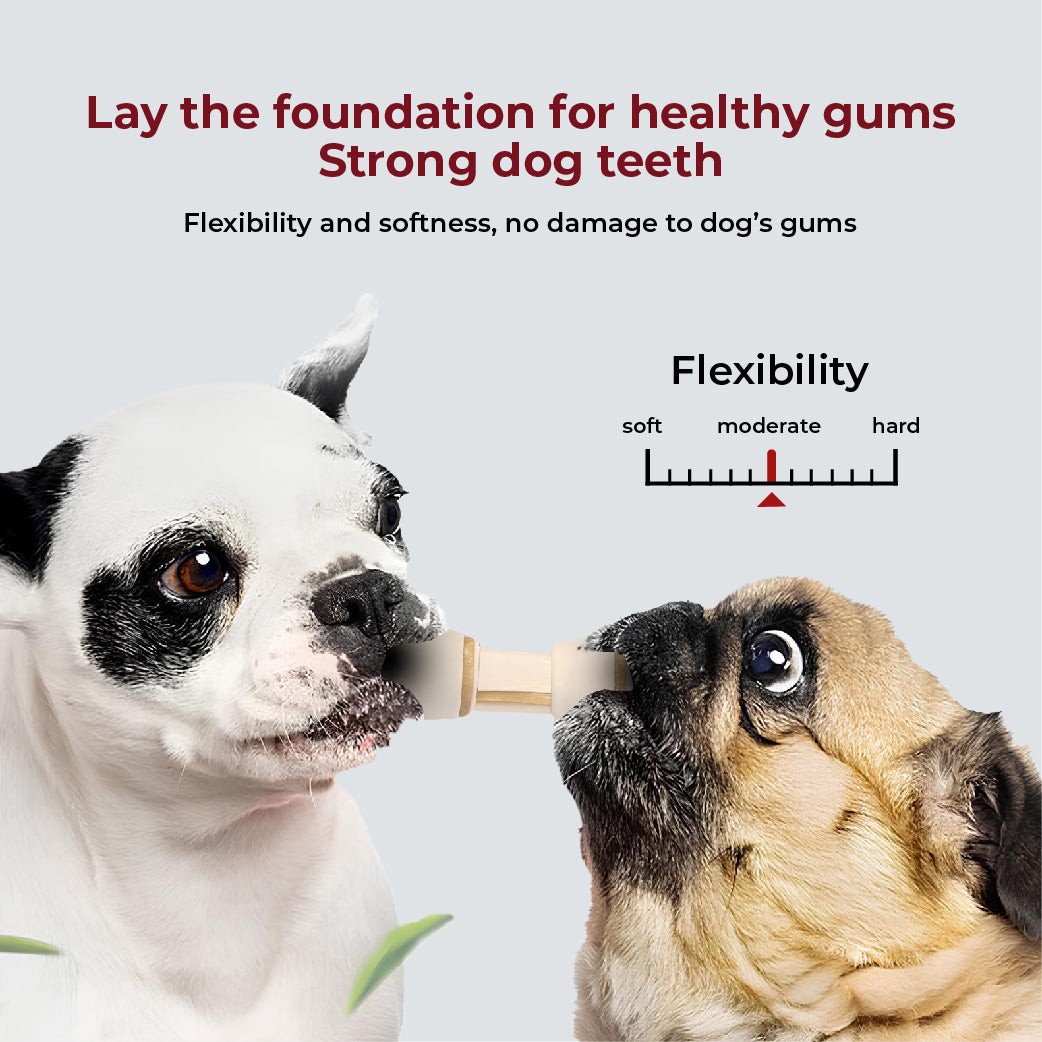 SMARTBONES Classic Chews Holistic Chicken 8 Mini 128g