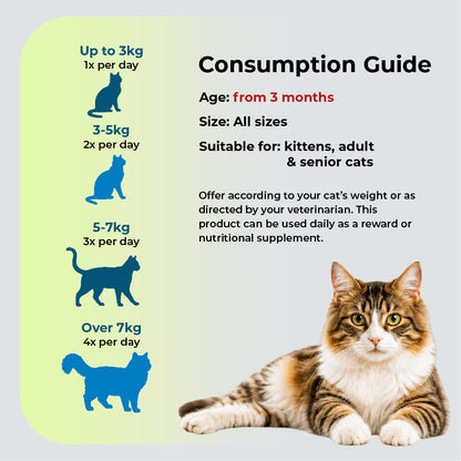 PRAMY Kitten Multi Vitamin Tuna Mousse 70g