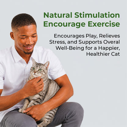 DENTALIGHT Natural Catnip 15g