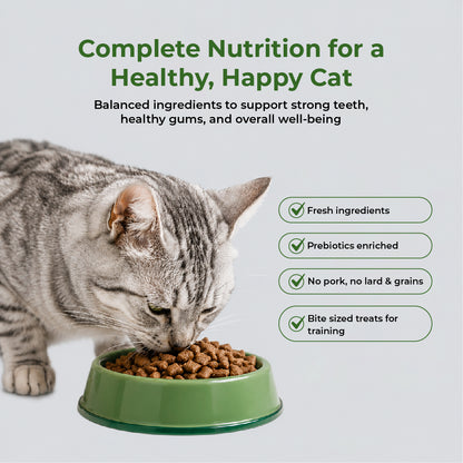 DENTALIGHT Omega Crunchy Tuna 60g