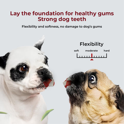 SMARTBONES Playtime Chews Chicken 5 Medium 170g