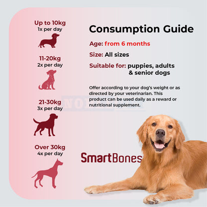 SMARTBONES Playtime Chews Chicken 10 Small 130g