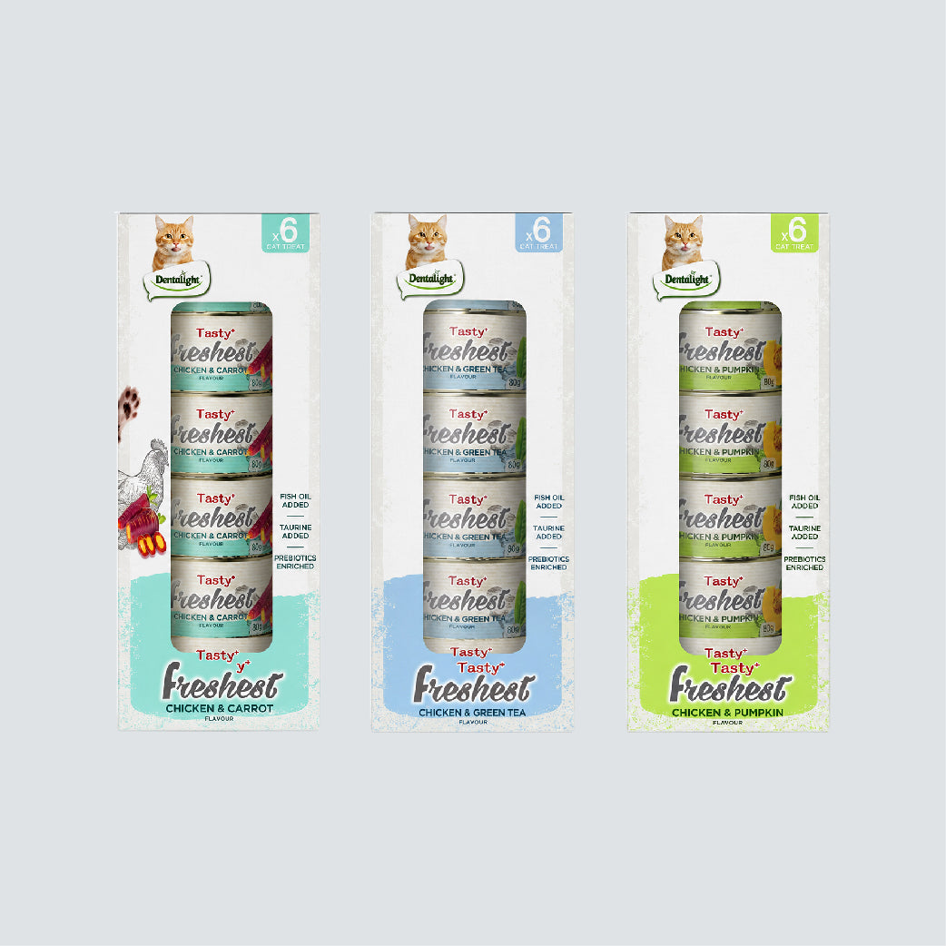 DENTALIGHT Tasty Freshest Chicken & Pumpkin 80g