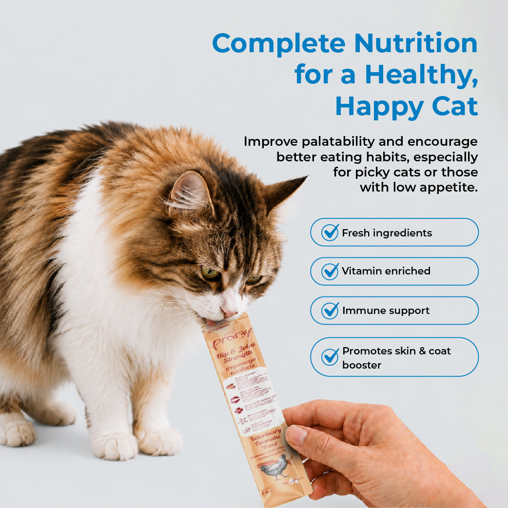 PRAMY Treat Booster Hip & Joint Strength Salmon With Chicken 14gx30