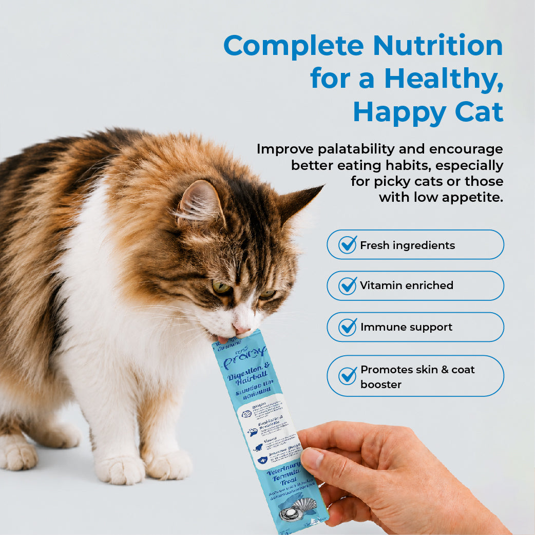 PRAMY Treat Booster Digestion & Hairball Salmon With Scallop 14gx30