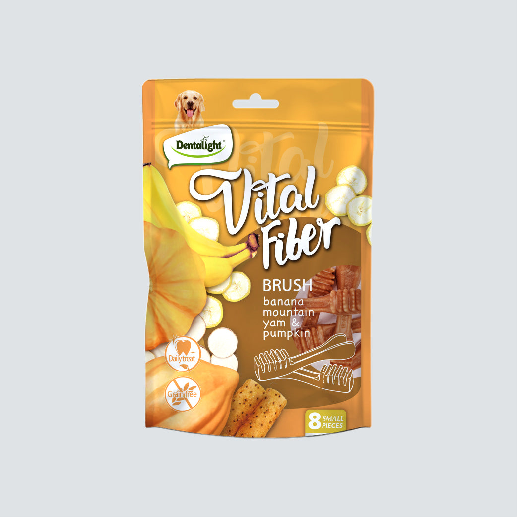 DENTALIGHT Vital Fiber Brush Banana, Mountain Yam, Pumpkin (S) 80g