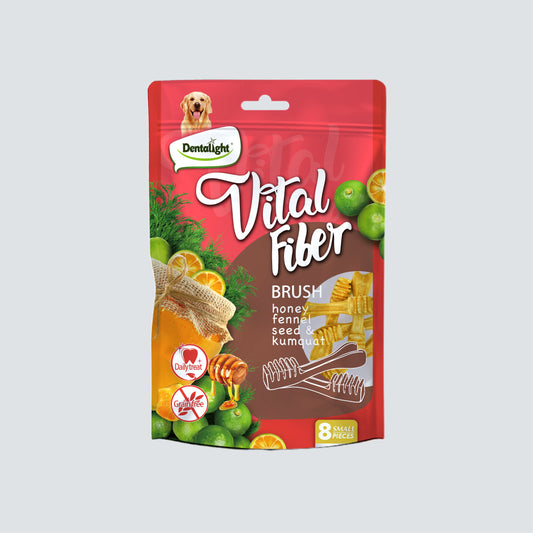 DENTALIGHT Vital Fiber Brush Honey, Fennel Seed, Kumquat (S) 80g